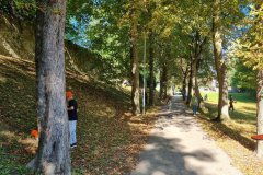 20250919_110718-Mittel