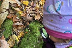 Entdeckungen-im-Herbst-2025-Mittel