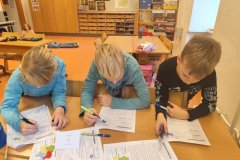 1763992544833-Mittel