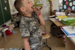 IMG_4989-Mittel