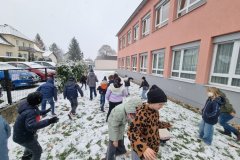 20251121_110745-Mittel