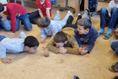 20251119_080721-Mittel