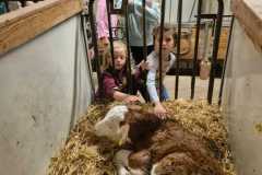 IMG-20250924-WA0045